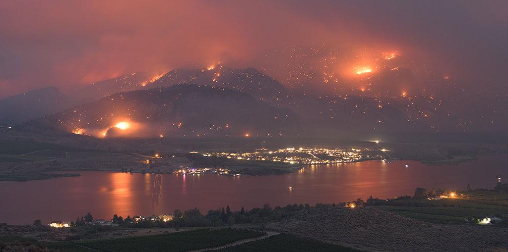 Wildfires - Are You Prepared?